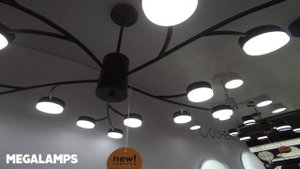 Odeon light + Novotech + Lumion LUMION TORINA 8117