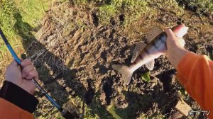 Осенний джиг. Рыбалка на спиннинг на р. Оке в сентябре.