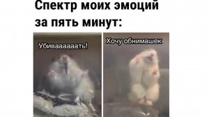 Мемы с Максом Максимовым. УБИВАААТЬ!!! ...хочу обнимашек...