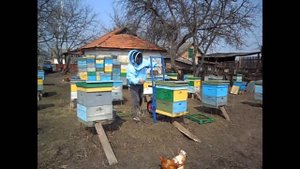 Тележка пасечная