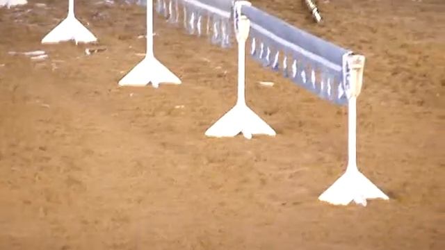 Рыцарский турнир Кальтенберг