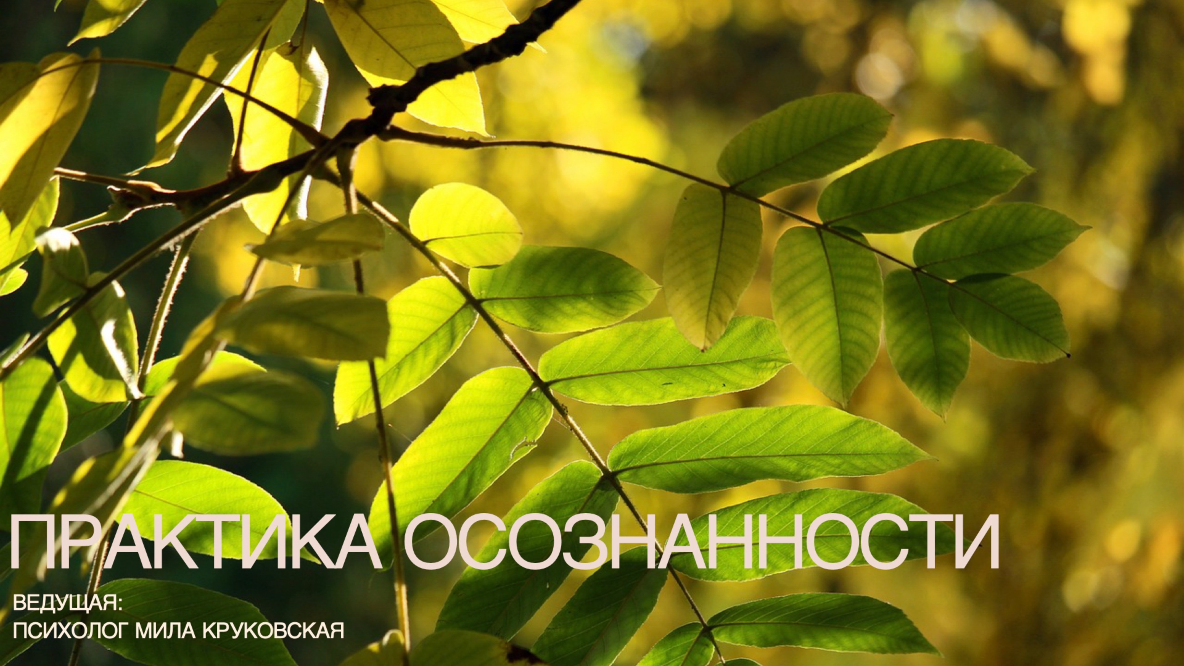 Практика Осознанности