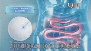 Реклама Аципол   Январь 2021
