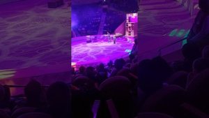 #Загадка старой игрушки, в Ивановском цирке. 2023 1#