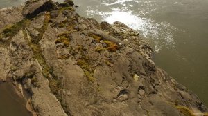 Ветер в ивах.