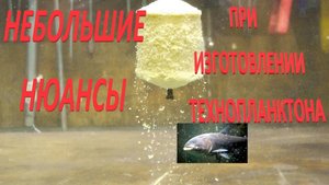 ТЕХНОПЛАНКТОН СВОИМИ РУКАМИ …