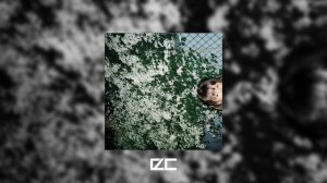 finesse scar, Currie Feen - we are beyond