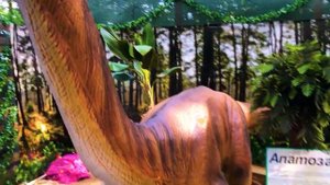Милана в парке Динозавров! Super Milana and Dinosaur Museum