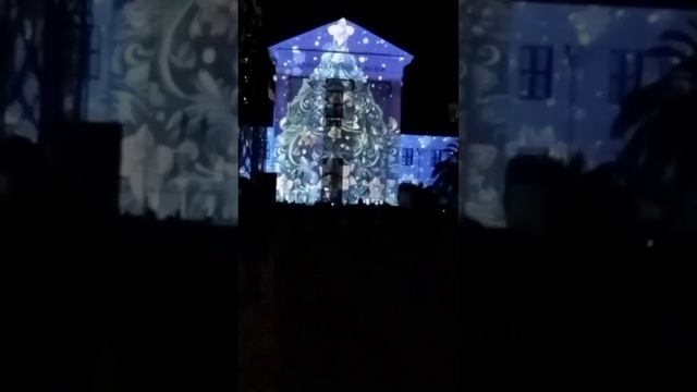 3.01.2024. Сочи. Световое шоу. 5/ Sochi. Light show/ Espectáculo de luz