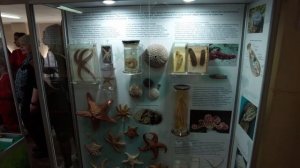 Уникальный краеведческий музей .  Это стоит увидеть 100%