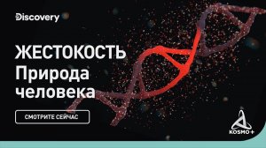 ПРИРОДА ЧЕЛОВЕКА: ЖЕСТОКОСТЬ | DISCOVERY