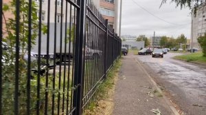 Стерилизация кошки / Гнойное удаление матки