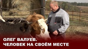 Олег Валуев. Человек на своём месте