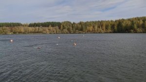 ECO-EXPERT (Взрослые) Первая попытка, Кубок Пензенской области по судомодельному спорту 2024