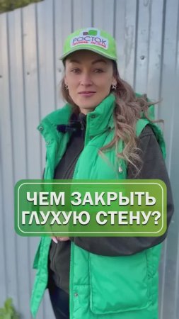 Не знаете чем закрыть глухую стену или забор?