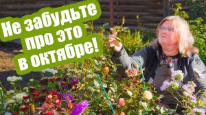 Успейте сделать это в октябре! Все работы в саду и огороде