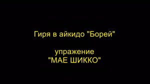 Упражнение "МАЕ ШИККО", гиря в айкидо "Борей"