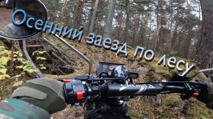 Осенний заезд по лесу на мопеде Cross X