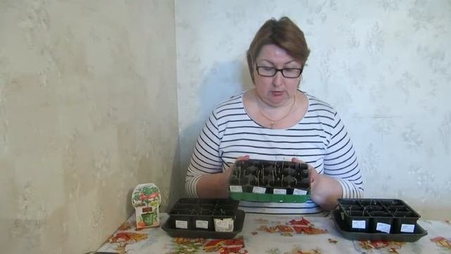 Томаты - 2020 г. Результаты всхожести семян и объем грунта.