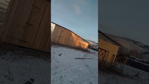 продолжение строительства фермы на 50 голов крс