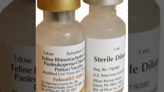 فيلوسل تحصين رباعى للقطط Felocell