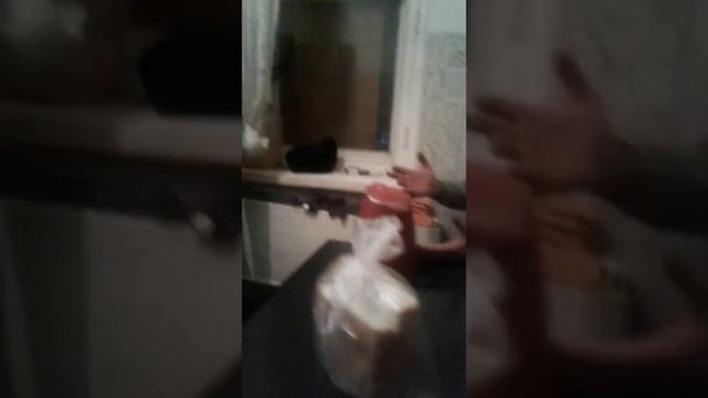 Камал на севере смотреть онлайн