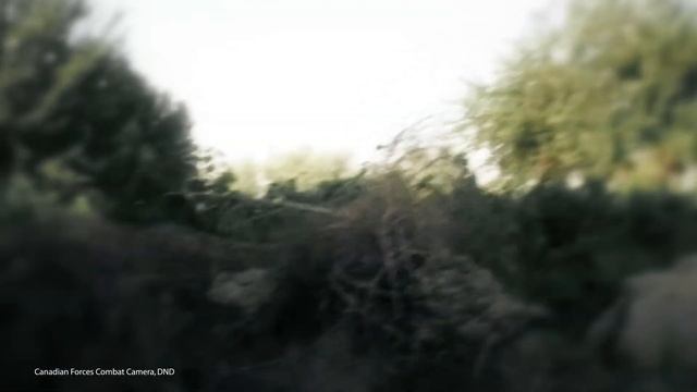 The Wounded - Canadian War Museum смотреть онлайн