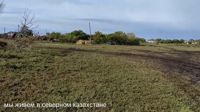 Сентябрь 2023. смотреть онлайн