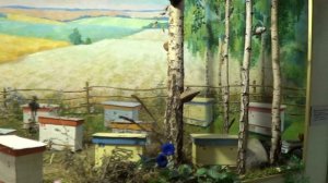 Petro Prokopovich Honeybee Museum: Apiary, Beekeeping in Ukraine (Panorama). Kyiv, Ukraine.