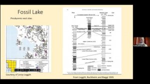 The Green River Formation A Paleontological Overview