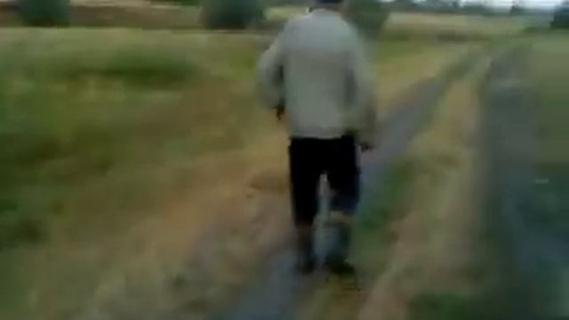 Трудный путь домой или возвращение выпивохи) смотреть онлайн