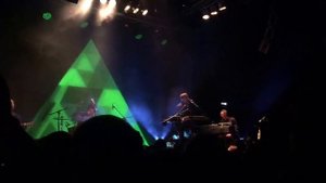 Dolphin | Дельфин - Весна