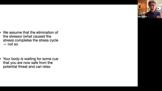 Mary Ragan on Managing Chronic Stress - смотреть онлайн