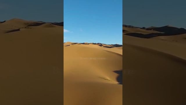 В этот шторм пустыни - Эли Мэлви.
Релиз 5 октября.