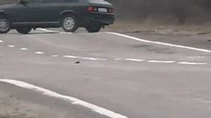 Эдуард Хиль  Москвич