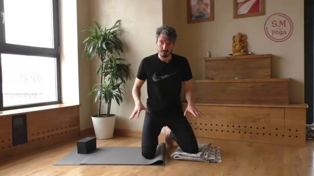 Бхуджапидасана. Видео разбор позы. Как сделать для новичков