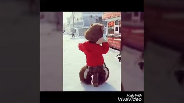 4 апреля 2017 г. смотреть онлайн