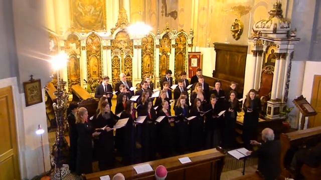 Tatal nostru, Emil Simion- Cappella Transylvanica, Armonii sacre, Cluj 2016 смотреть онлайн