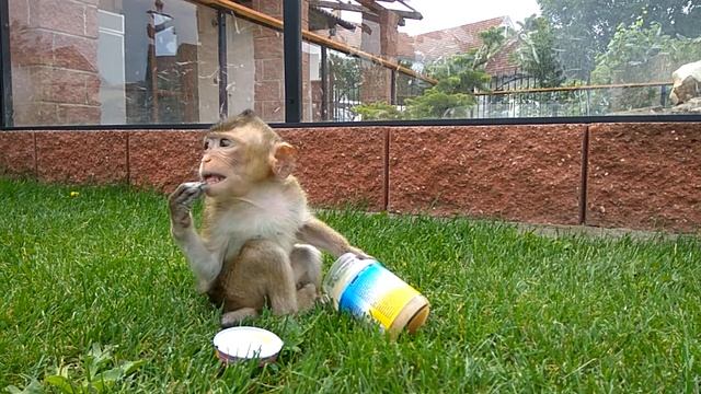 Opička Teodor Opičí mládě смотреть онлайн