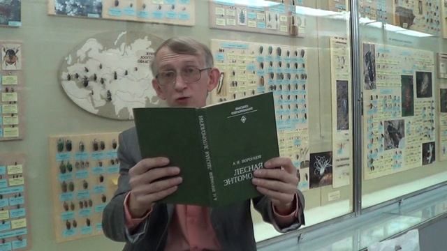 Экскурсия Энтомолога: О коллекциях жуков в Зоомузее в г.Киеве, Украина,  Entomologist in Ukraine