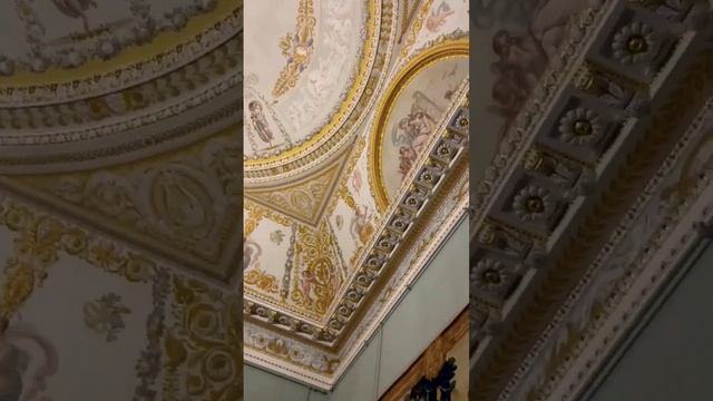 Russia Saint Petersburg Ermitage Museum🇷🇺Россия, Санкт-Петербург, Эрмитаж#trend#shortvideo#short