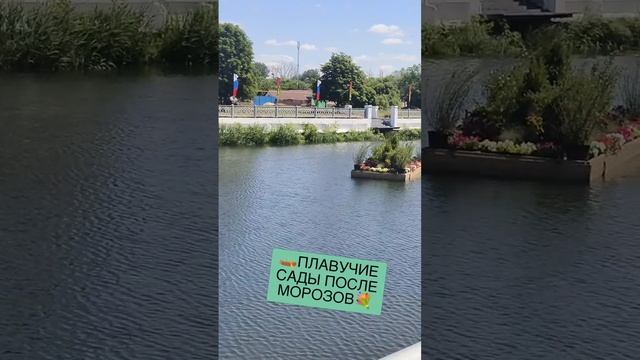 🛶ПЛАВУЧИЕ САДЫ ПОСЛЕ МОРОЗОВ💐