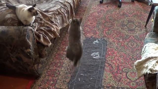 Игра со спичками