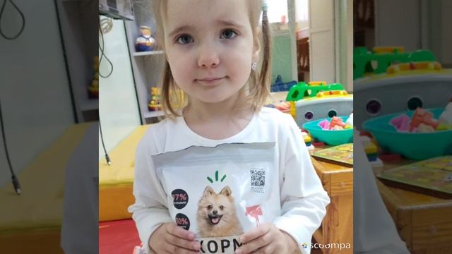 Топотушкиslideshow_326_20240924_dLuR90