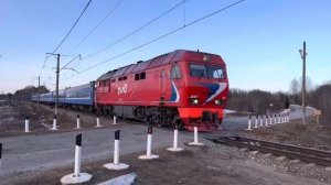 Поезд Санкт-Петербург - Гомель