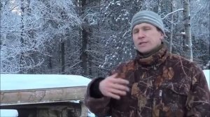 АТ174 черви Дендробена+Старатель- ВМЕСТЕ сила. Совместная популяция