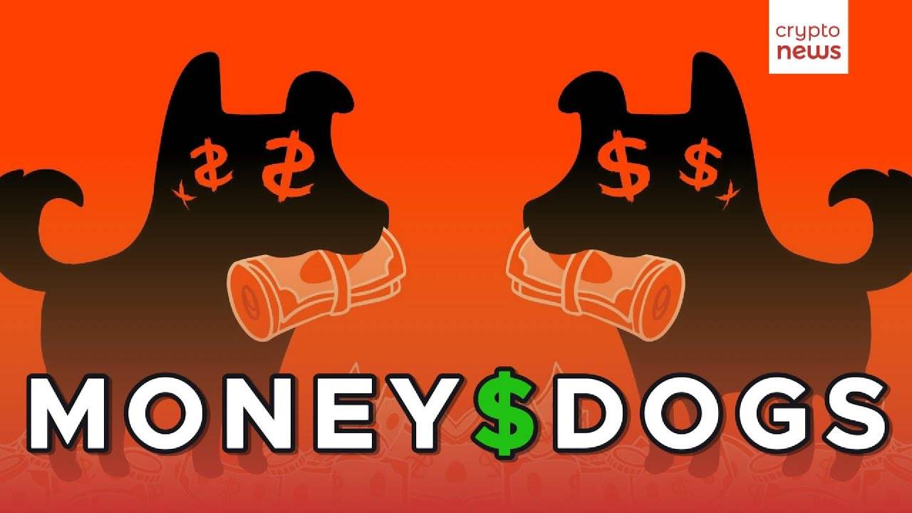 MONEY DOGS крипто проект похожий на $DOGS / Получаем бесплатные монеты