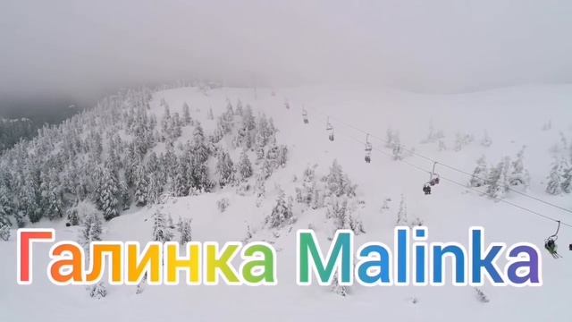 Колесниковы /Последние новости /Обзор Влогов /7-Я /Семья Колесниковых /