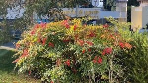 Как просить чтобы не отказали ?/ Наталья Волкова 18+