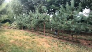 Александр Док собирался освоить новую профессию